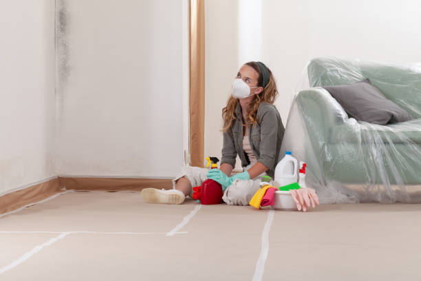 Reliable Black Mold Removal contractor in Skillman, NJ by WQB Mold Removal